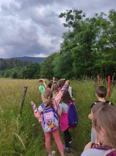 Raconte-moi l’école dehors #8 – Jaujac