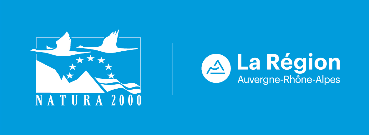 NATURA 2000 logo générique RVB bleu