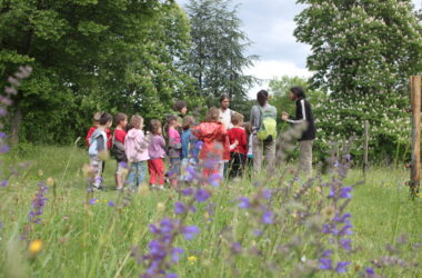 Les ateliers Pédagogiques à la Maison du Parc, c’est reparti en 2023 !