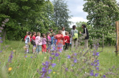 COUPS DE POUSSE ÉDUCATIFS, LES PRÉINSCRIPTIONS SONT LANCÉES