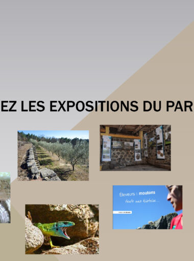 Accueillez les expositions du Parc