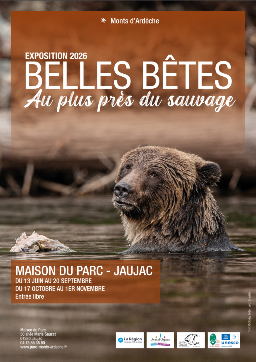 affiche xpo belles bêtes 2026