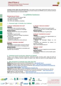 La pollution lumineuse