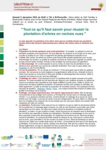 Tout ce qu’il faut savoir pour réussir la plantation d’arbres en racines nues