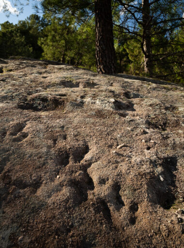 Le Géosite à traces de dinosaures du Sartre à Ucel