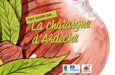 Tout savoir sur la châtaigne