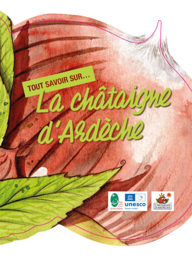 Tout savoir sur la châtaigne