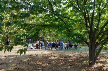 Les Castagnades 2023 sont lancées !