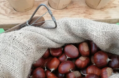 Les Castagnades 2020 se recentrent sur les marchés