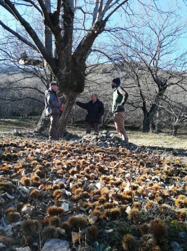 Les Pieds Dans Le Parc à Mayres, en Haute Vallée de l’Ardèche