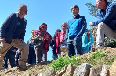 Journée pierre sèche pour les bénéficiaires de la marque VALEURS PARC