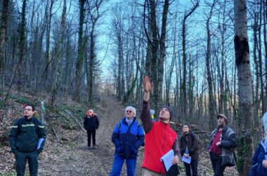 Exploitation forestière démonstrative à la Maison Parc.