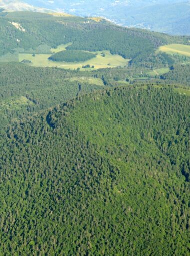 Le Suc de Bauzon et sa coulée basaltique