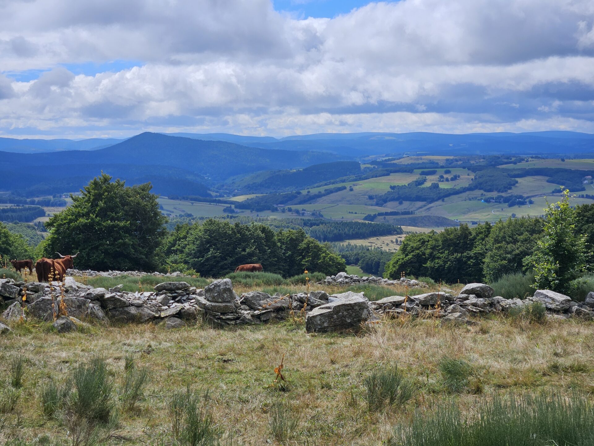 crédit nicolas glebeau