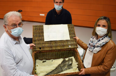 Un crocodile rejoint le Parc