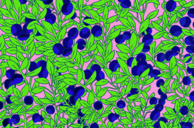 Marché de la myrtille, le Samedi 1er Août 2020 à Mézilhac