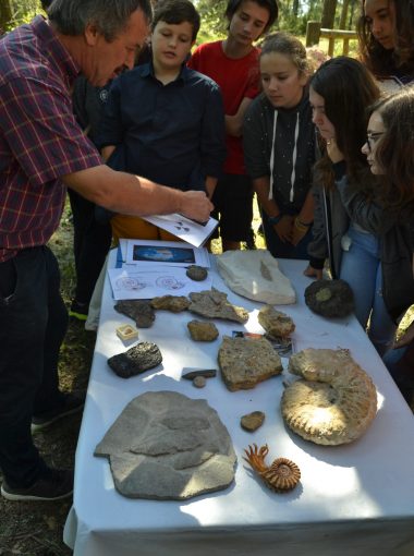 Les outils pédagogiques