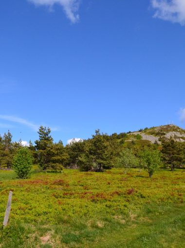 RDV Géologique : Le Suc de Montivernoux