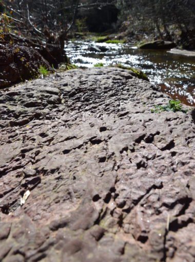 Le Géosite des Fourniols