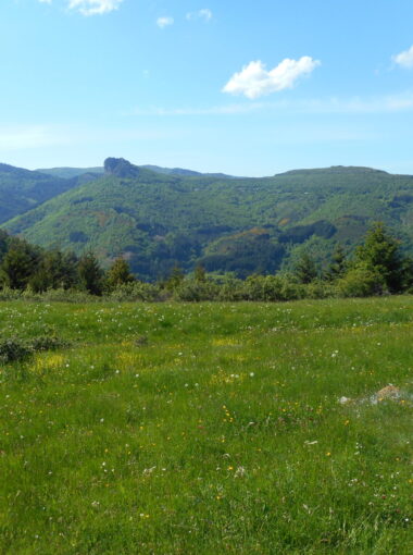 La vallée des tuiliers