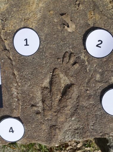 Les grès du Trias à empreintes de Tauriers