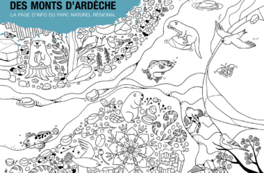 Fanzine n°6