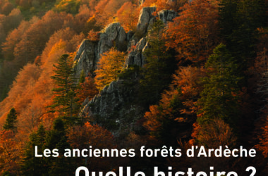 A LIRE : Les anciennes forêts d’Ardèche, quelle histoire ?
