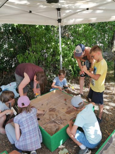 Coups de pousse éducatifs (Nouveau calendrier!)