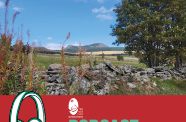 Les pics de fréquentation touristique – LES PIEDS DANS LE PARC – octobre 2023