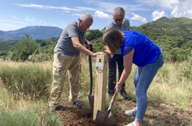 Les Pieds dans le Parc – Les Jeunes Volcans d’Ardèche