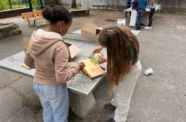 Des chauves-souris au collège de l’Eyrieux !