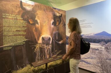 La Maison de l’AOP Fin Gras : elle rouvre ses portes après rénovation !