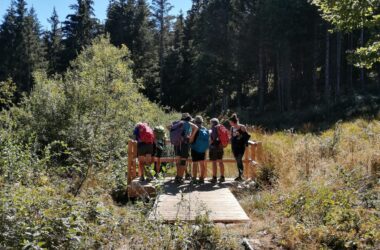 Les tourbières de La Rochette