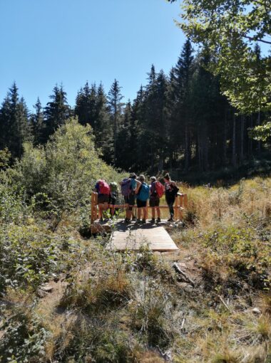 Les pieds dans le Parc – Septembre 2020