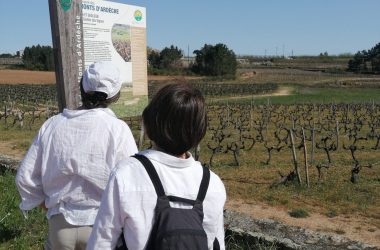 Se former aux réseaux sociaux