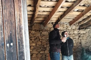 Podcast LES PIEDS DANS LE PARC Comment veiller à la biodiversité lorsqu’on réalise des travaux chez-soi ?