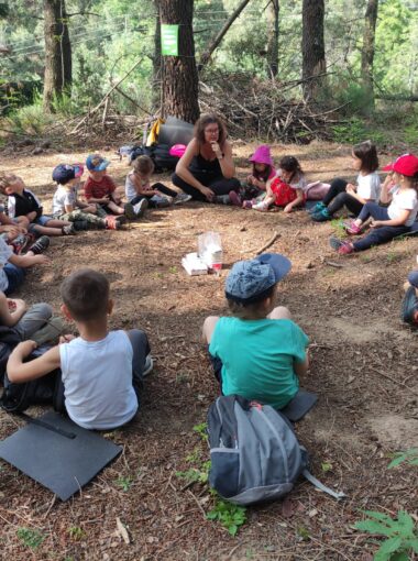 Raconte-moi l’école dehors #11 – Lentillères