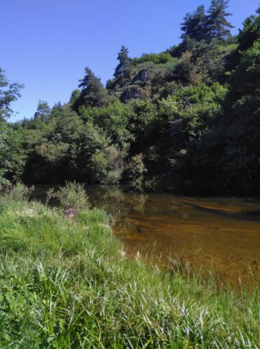 Le site Natura 2000 « Allier et ses affluents »