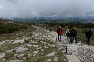 Une journée au sommet !