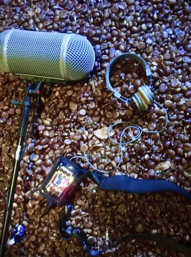 Le paysage sonore de la châtaigneraie