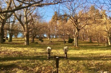 Testez-vous avec le quiz Castanéa Vibrations