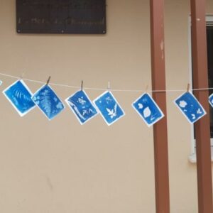 jeudi30avril Cyanotype MDP