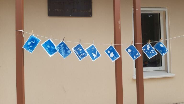 jeudi30avril Cyanotype MDP