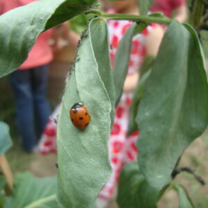 jeudi9avril Alliesdesjardins MDP