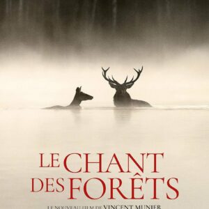 Le chant des forets