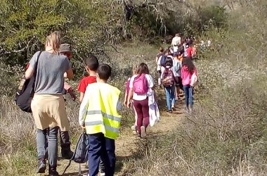 C’est la rentrée : et si on faisait école dehors ?