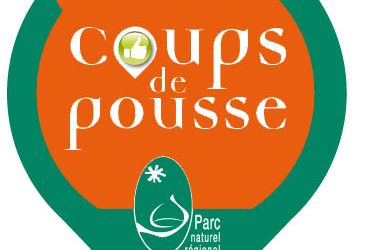 Les coups de pousse 2021