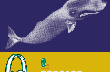 Rencontre avec François Sarano, océanographe / VERSION longue