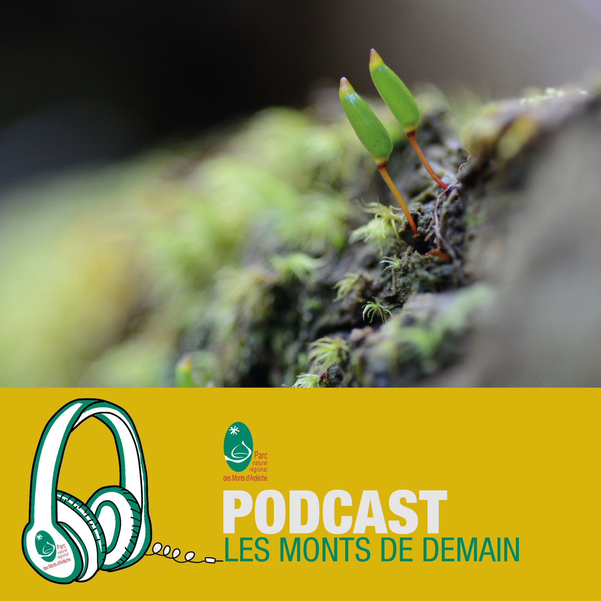 L’origine du monde : une exploration du sol, pour tous ceux qui le piétinent !