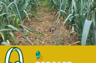 L’agroécologie, pour une alimentation saine et une agriculture durable